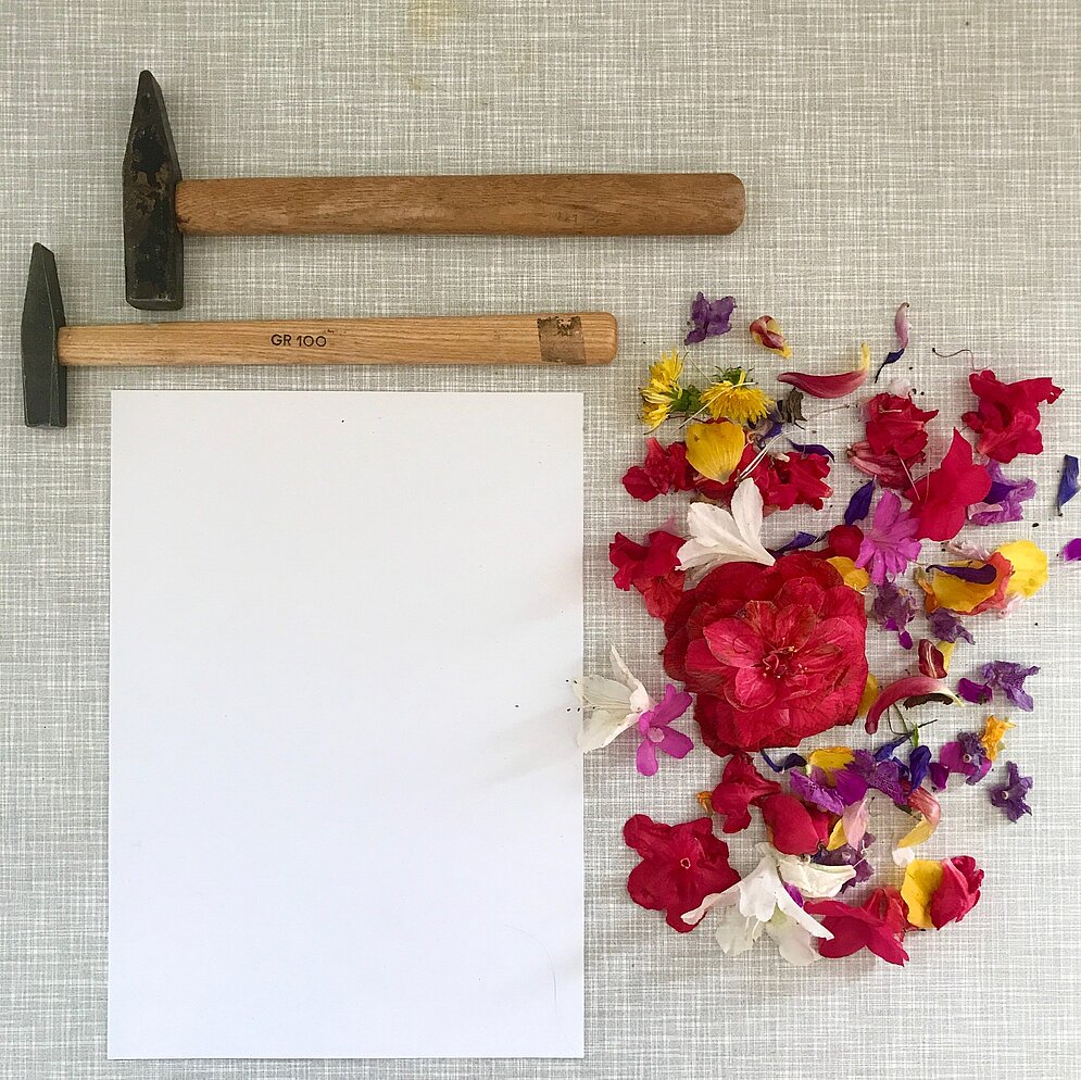 Mitmachmittwoch: Experimente mit Blüten - Du brauchst Blütenblätter, Hammer, Papier