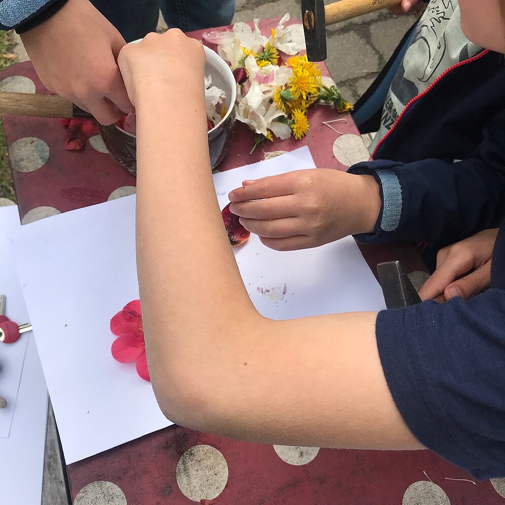 Mitmachmittwoch: Experimente mit Blüten - Blüten auf das Papier legen
