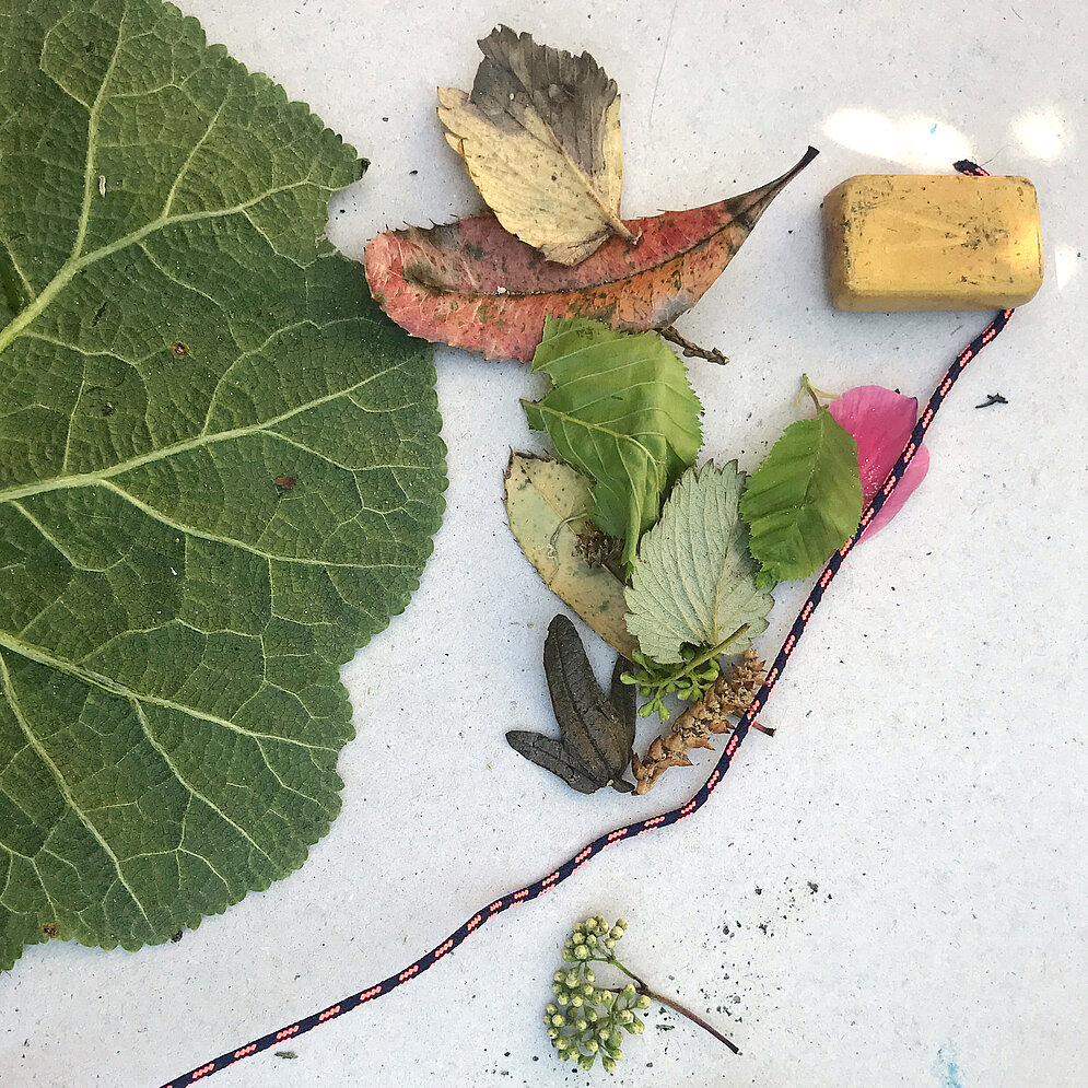 Frottagetechnik: Naturmaterialien wie Blätter